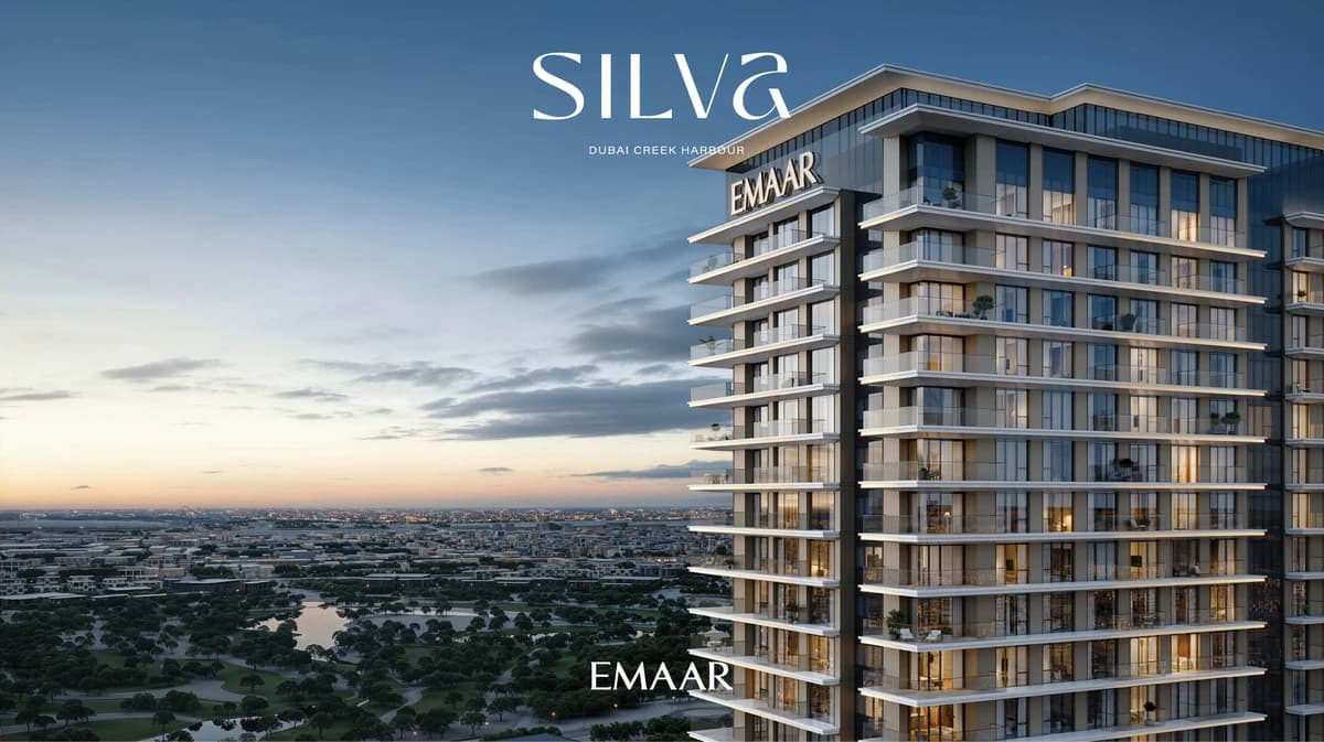Silva — photo 3