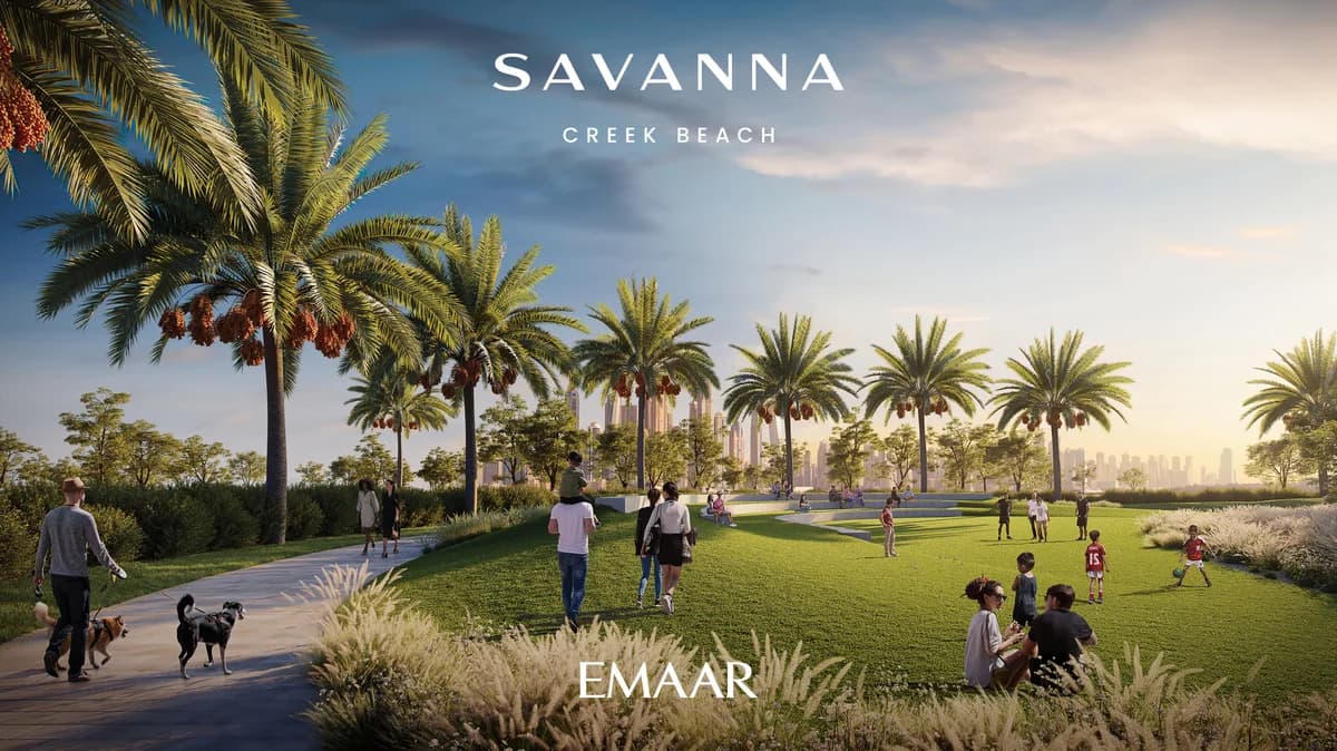 Savanna — photo 2